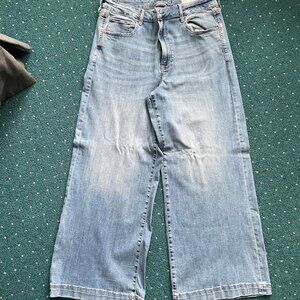 AE Wide Leg Jean